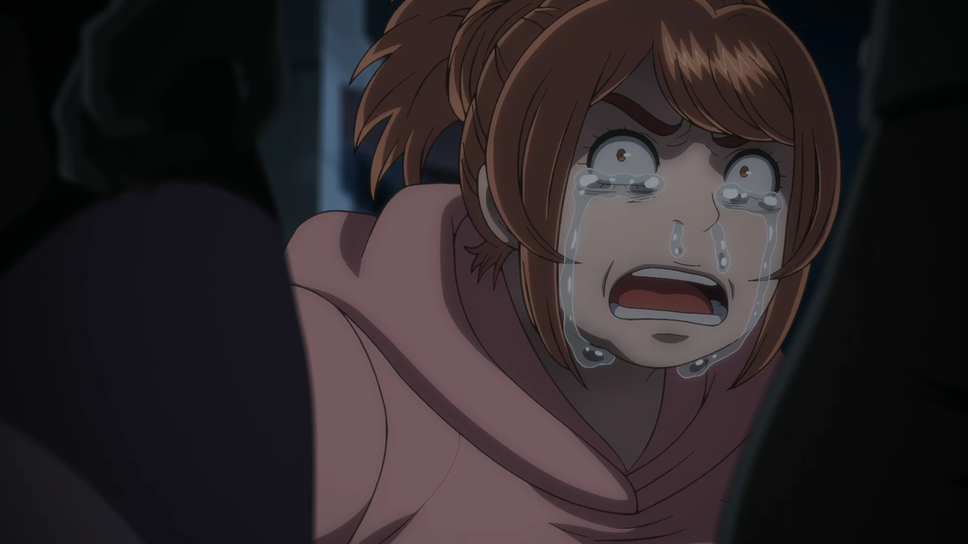 东岛丹三郎想成为假面骑士 第14话