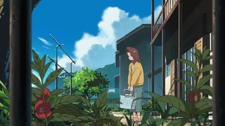 ホウセンカ 特報