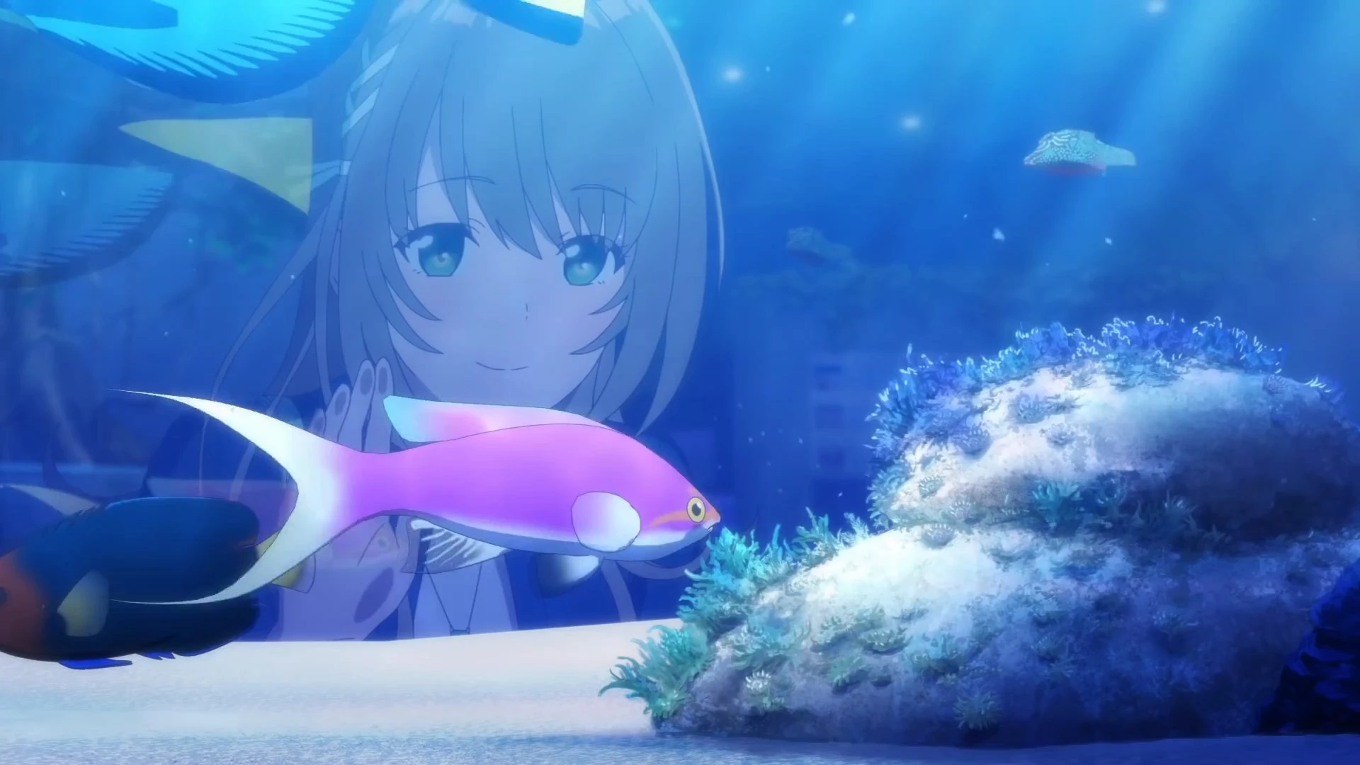 白沙的水族馆 PV2